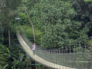 PU Siapkan Rp 630 M Bangun 63 Jembatan Gantung Baru di 2026 PU Siapkan Rp 630 M Bangun 63 Jembatan Gantung Baru di 2026