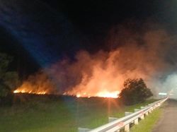 Lahan Samping Ruas Tol Palindra Terbakar, Personel Upayakan Pemadaman