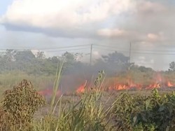 Lahan Kering Dekat Permukiman Warga di OKU Terbakar