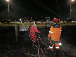 Sudah Padam, Lahan Terbakar di Samping Tol Palindra Capai 1 Hektare