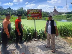 Buaya yang Gegerkan Warga Manukan Surabaya Ditangkap, Lihat Ukurannya! Buaya yang Gegerkan Warga Manukan Surabaya Ditangkap, Lihat Ukurannya!