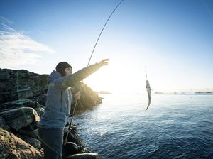 Cocok buat Bapak-Bapak, Tur Memancing di Shizouka Cocok buat Bapak-Bapak, Tur Memancing di Shizouka