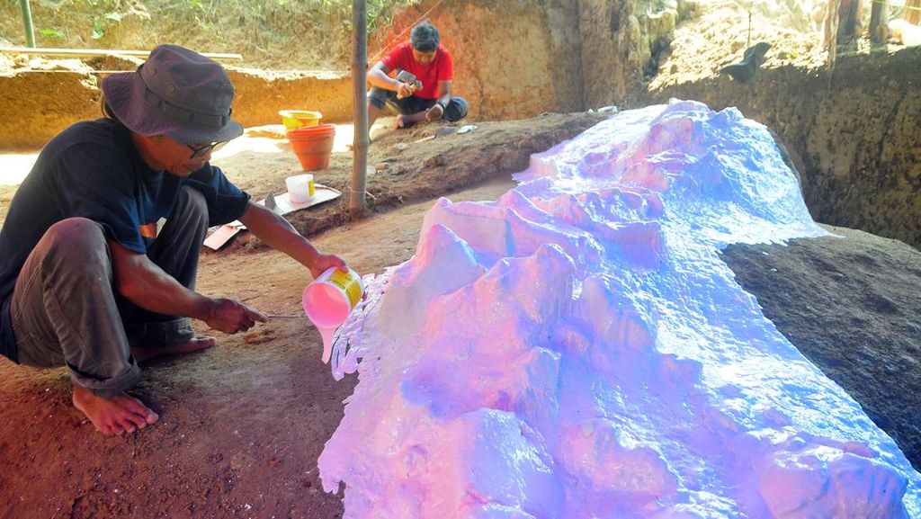 Jejak Gajah Purba Terungkap di Kudus, Fosil Langka Diekskavasi Jejak Gajah Purba Terungkap di Kudus, Fosil Langka Diekskavasi