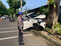 Mobil Hantam Pohon dan Kios Tanaman Hias di Bogor, Diduga Sopir Microsleep