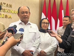 RI Butuh 100 Juta Ayam Petelur buat Makan Bergizi Gratis