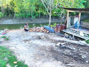 Sungai di Tarakan Barat Diduga Jadi Pusat Aktivitas Kayu Ilegal Sungai di Tarakan Barat Diduga Jadi Pusat Aktivitas Kayu Ilegal