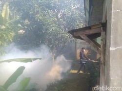 Chikungunya Mengganas di Tasikmalaya, 5 Orang Sakit dalam Satu Rumah