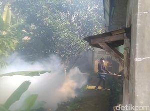 Chikungunya Mengganas di Tasikmalaya, 5 Orang Sakit dalam Satu Rumah Chikungunya Mengganas di Tasikmalaya, 5 Orang Sakit dalam Satu Rumah