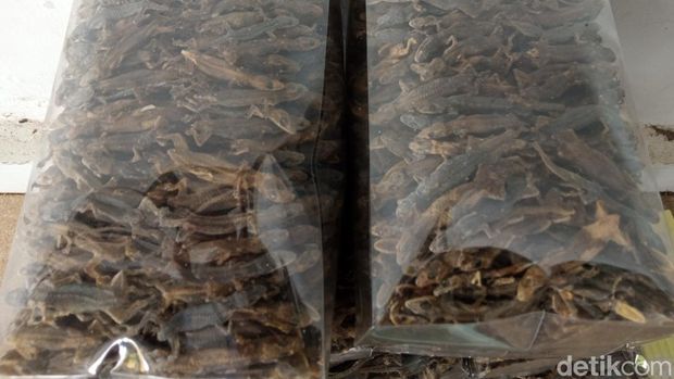 Produksi cicak kering di Cirebon.