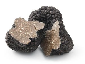Alasan Ilmiah soal Harga Jamur Truffle yang Lebih Mahal dari Emas