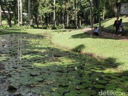 Video: Pemprov DKI Mau Gabungkan Taman Ayodya, Langsat, dan Leuser