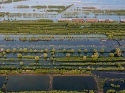 Pemprov NTB Didorong Bentuk Tim Independen Awasi Limbah Tambak Udang