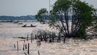 Pantura Makin Tenggelam, Kenaikan Muka Laut hingga 4,3 Mm per Tahun
