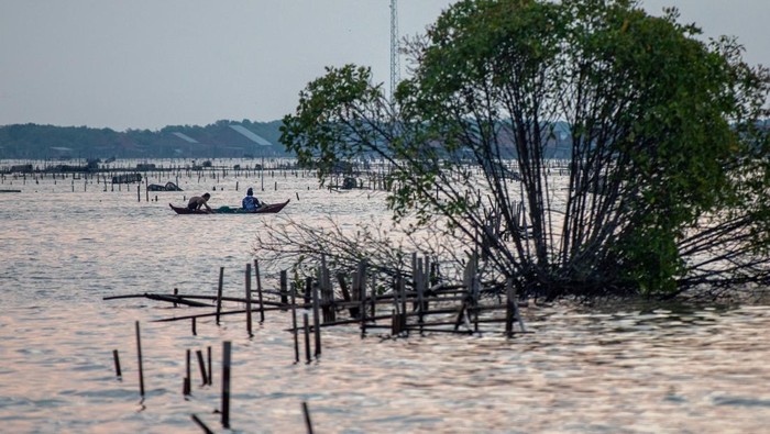 Foto udara kondisi areal bekas tambak udang maupun bandeng yang sudah tidak produktif di pesisir pantai utara Kecamatan Sayung, Kabupaten Demak, Jawa Tengah, Selasa (17/6/2025).