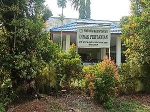 Mantan Kadis Pertanian Kaur Diperiksa Terkait Korupsi DAK Rp 7,1 Miliar Mantan Kadis Pertanian Kaur Diperiksa Terkait Korupsi DAK Rp 7,1 Miliar