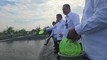 Menteri Imipas Cek Budidaya Ikan di Lapas Terbuka Kendal, Tebar Bibit-Beri Pakan