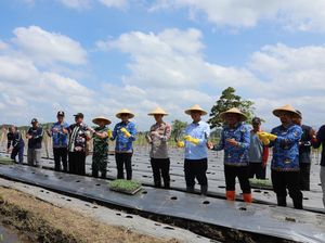 Dukung Ketahanan Pangan, Forkopimda Kota Malang Serahkan Alsintan-Benih Dukung Ketahanan Pangan, Forkopimda Kota Malang Serahkan Alsintan-Benih
