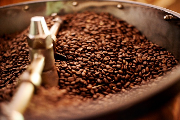 Perbedaan biji kopi menurut varietas 7 Varietas Kopi Spesial dengan Bentuk Biji Berbeda