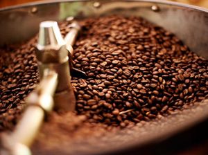 Ini Dia 8 Biji Kopi Terbaik di Indonesia, Ada Favoritmu? Ini Dia 8 Biji Kopi Terbaik di Indonesia, Ada Favoritmu?