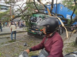 Pohon Tumbang karena Tersangkut Truk di Depok, Sempat Bikin Lalin Macet