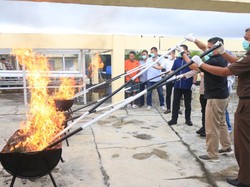 Polda Sumbar Musnahkan 15,9 Kg Ganja Hasil Pengungkapan Kasus