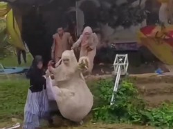 Viral Pelaminan Roboh Diterjang Angin, Pengantin dan Tamu Berlarian