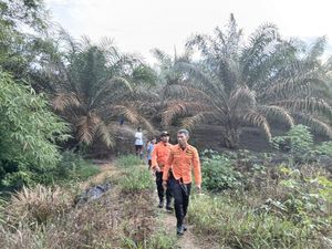 Tim SAR Gabungan Cari Pemuda Babel yang Hilang 4 Hari di Kebun Sawit