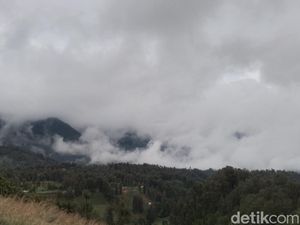 Artotel Cabin Bromo Libatkan Tamu Jaga Ekosistem di Gunung Bromo Artotel Cabin Bromo Libatkan Tamu Jaga Ekosistem di Gunung Bromo