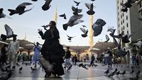 Kawanan Merpati Semarakkan Suasana Bulevar Masjid Nabawi