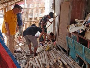Ramai Warga Cirebon Buru Tikus Botak Biang Penyakit Leptospirosis