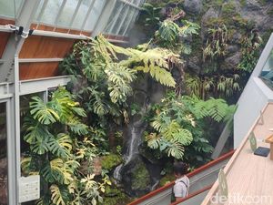 Tempat Nongkrong Unik di SCBD, Santai di Hutan Dalam Rumah Kaca Tempat Nongkrong Unik di SCBD, Santai di Hutan Dalam Rumah Kaca