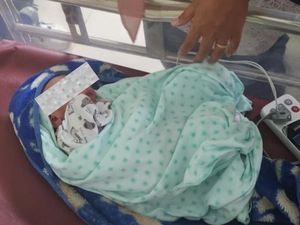 Detik-detik Warga Basel Temukan Bayi, Sempat Dikira Suara Mahluk Halus