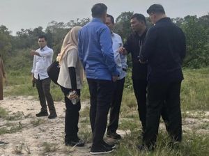 DPR RI Bakal Dalami Dugaan Stockpile Batu Bara Cemari Lingkungan di Jambi