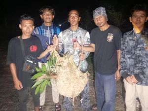 2 Sarang Tawon Vespa di Klaten Dievakuasi Usai Serang Pak RT dan Warga 2 Sarang Tawon Vespa di Klaten Dievakuasi Usai Serang Pak RT dan Warga