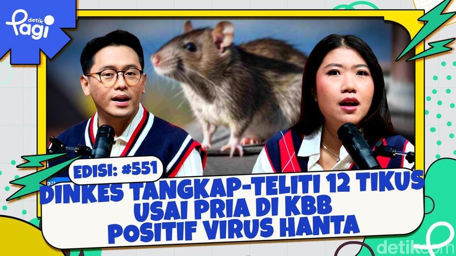 Dinkes Tangkap-Teliti 12 Tikus Usai Pria di KBB Positif Virus Hanta