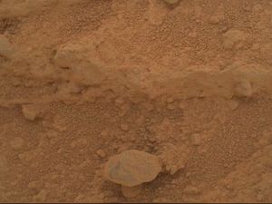 Muncul Penampakan Jamur di Mars, Tanda Kehidupan? Muncul Penampakan Jamur di Mars, Tanda Kehidupan?