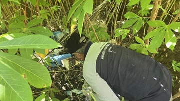 Polisi: Kuburan Limbah Medis di Pekanbaru Cemari Lingkungan dan Singkong