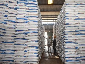 Alokasi Pupuk Subsidi Takalar Tembus 29 Ribu Ton di 2025, Alami Kenaikan 26% Alokasi Pupuk Subsidi Takalar Tembus 29 Ribu Ton di 2025, Alami Kenaikan 26%