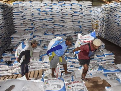 Tak Perlu Panik, Stok Pupuk Subsidi di Jawa Barat Aman hingga Musim Tanam