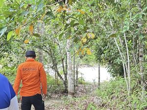 Nenek 75 Tahun Hilang di Hutan Bangka Selama 4 Hari, Tim SAR Diterjunkan Nenek 75 Tahun Hilang di Hutan Bangka Selama 4 Hari, Tim SAR Diterjunkan