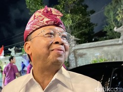 Koster Tolak Wacana Legalisasi Sabung Ayam di Bali: Jangan!