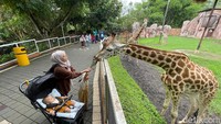 Cuaca Wisata Jatim 31 Agutus 2025, Jatim Park Cerah Berawan