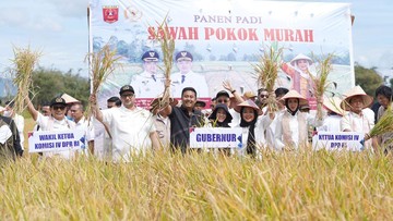 Titik Soeharto Puji Inovasi Petani Agam Berhasil Budidaya Padi Metode SPM