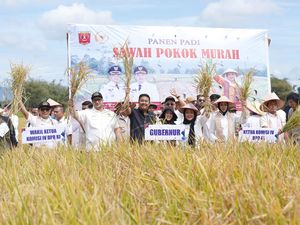Titiek Soeharto Puji Inovasi Petani Agam Berhasil Budidaya Padi Metode SPM Titiek Soeharto Puji Inovasi Petani Agam Berhasil Budidaya Padi Metode SPM
