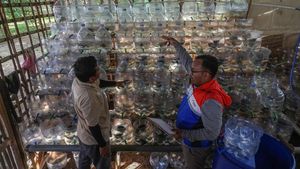 Galon Bekas Disulap Jadi Rusun Kepiting Ramah Lahan