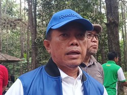 Al Haris Berharap Hutan Pinus Jambi Jadi Objek Wisata Edukasi