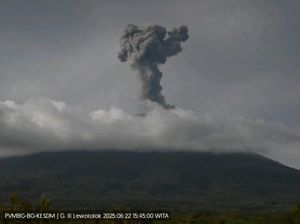 Gunung Ile Lewotolok Meletus, Warga Dilarang Beraktivitas di Radius 2 Km Gunung Ile Lewotolok Meletus, Warga Dilarang Beraktivitas di Radius 2 Km