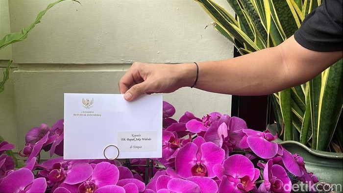 Jokowi Penampakan bunga anggrek ungu kiriman Presiden Prabowo Subianto selaku ucapan selamat ulang tahun ke-64 bagi Presiden Ke-7 Joko Widodo (Jokowi) di Sumber, Banjarsari, Solo, Minggu (22/6/2025).
