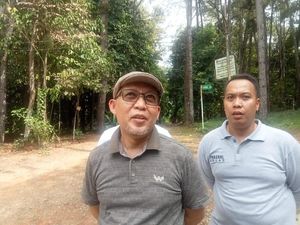 Miliki Lahan Gambut Luas, 3 Daerah di Jambi Rawan Karhutla