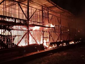 Api Mengamuk Lalap Kandang di Ciamis, 60 Ribu Ayam Terbakar